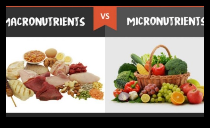 Mikronutrient Harikaları: Küçük Besinler, Büyük Etki