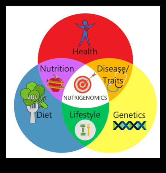 Genetik Potansiyelin Kilidini Açmak: Nutrigenomiye Giriş