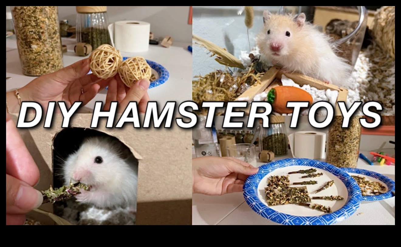 Hamster Zenginleştirme Fikirleri Devam Ediyor: Uyarım İçin Duyusal Aktiviteler