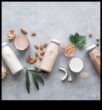 DIY Bitki Süt Bliss Evde Kendi Yulaf Sütü Karışımları