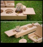 Tiny Explorers için Hamster Saklam ve Seek Zenginleştirme Oyunları