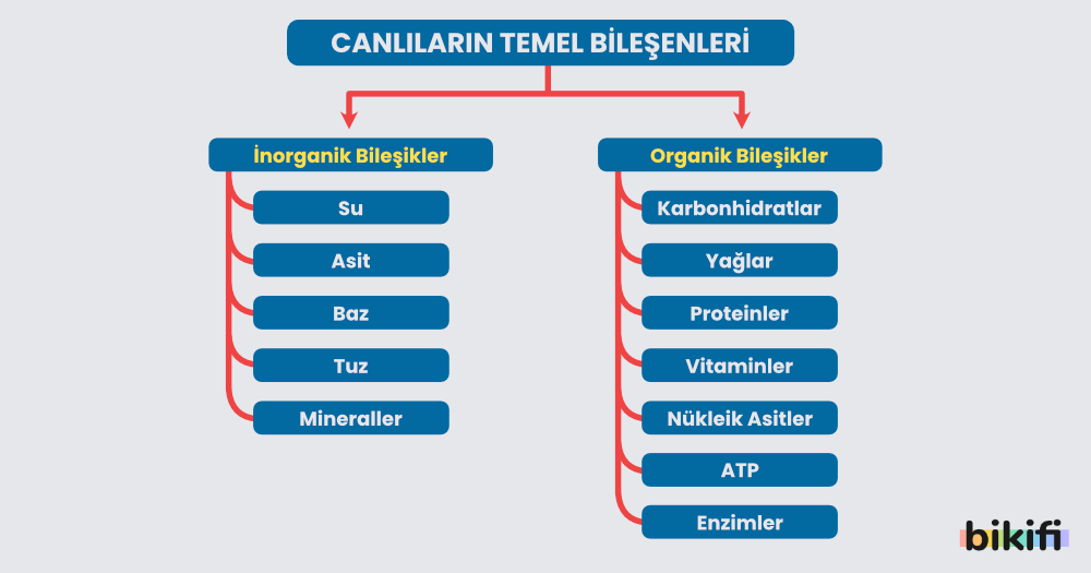 İnorganik Bileşiklerin Temel Sınıflandırması ve Ayrıntıları [2026] - Kapak Görseli